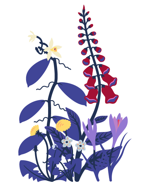 A stylized illustration of various flowers and plants. The image features a tall stem with red bell-shaped flowers, a vine with white orchid-like blossoms, daisy-like flowers with light blue petals and yellow centers, and purple crocus flowers among dark blue foliage. The depiction has a flat, modern design with a focus on shapes and vibrant colors.